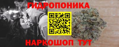 шишки Бузулук