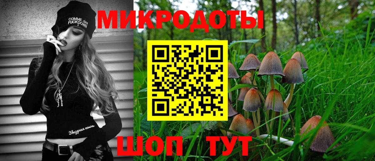 Псилоцибиновые грибы мухоморы Барабинск